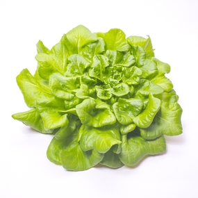 ensalada