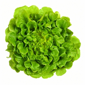 salat