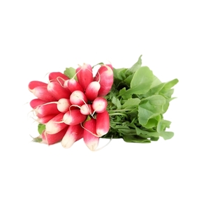 bunch radishes
