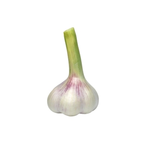 green garlic