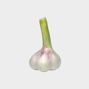 green garlic green garlic